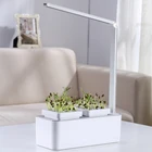 Planter Pot Garden DIY Plants Seed Planter Hydroponic Children Garden Kit Magic Interested Pineapple Succulent Pots