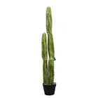 Cactus Factory Hot Sale Large Artificial Cactus Plant Decorative Faux Desert Cactus For Decoration