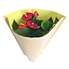 Popular Hot Selling kraft paper flower sleeves