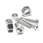Provide Socket Screw Tapping Screws Provide SS304 Hex Socket CSK Head Button Head Cheese Head Screw Tapping Screw
