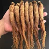 /product-detail/high-quality-chinese-dried-herbs-red-ginseng-root-for-sale-62236243401.html