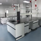 Bench/ Bench High Quality Steel Laboratory Furniture/ Island Bench/ Wall Bench