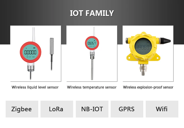 Holykell Lcd Display Lora Lorawan Nb Iot 4g Wireless Water Level