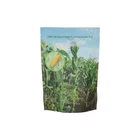 Drinks Oolongtea Bio Doypack Comply With Standard EN 13432 Biodegradable Sachet Fully Compostable Stand Up Pouches