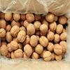 /product-detail/dried-style-and-common-cultivation-type-walnuts-from-chile-62339270423.html
