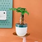 Small Pots RUIPU SAN/PP Material Cheap Small Flower Pots Self Watering