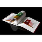 Customized Color Leaflet Brochure Flyer Catalogue Booklet Poster Catalog Printing