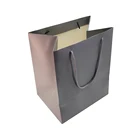 Recyclable Paper Bag in for See Through Bags 2020 Luxury Paper Bag in India for Shopping