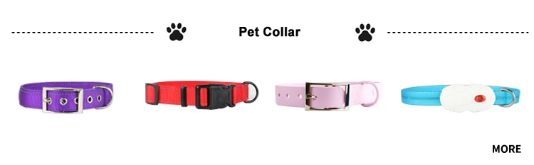 collar.jpg