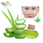 Natural Wholesale Bulk Organic Natural Pure Aloe Vera Gel Industrial Plant Manufacturers