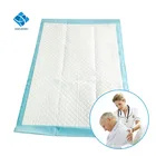 Disposable Hospital Medical Adult Urine Urinary Incontinence Underpad For Patient Care