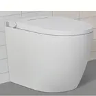 Wholesale Custom new Arrival China Factory Price Toilet Ware