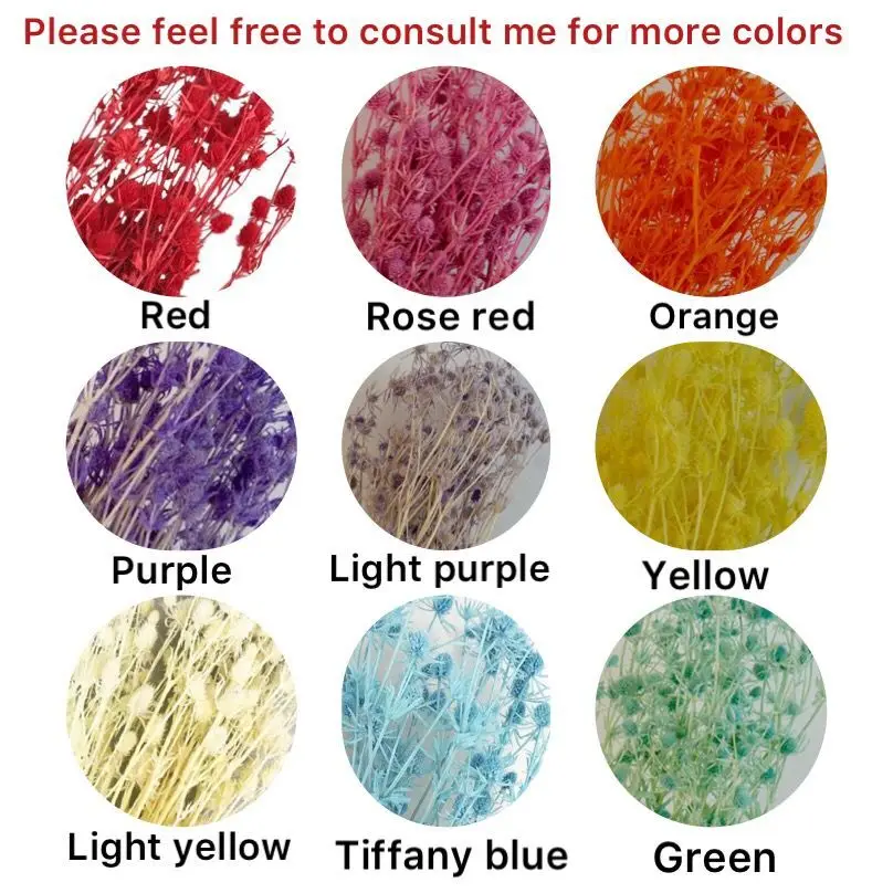 hot selling preserved sea holly for valentines day gift