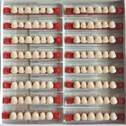 Factory Supply Dental Composite False Teeth with Free Sample