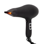 Best Home Use Ionic Electric DC/AC Motor Hair Dryer
