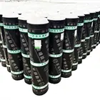 Waterproofing Membrane Waterproof APP/SBS Asphalt Waterproof Membrane