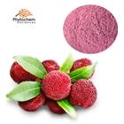 health and wellness products chinese natural cbd oil patch for p cream herbal leaf extract sweetener stevia ra99%