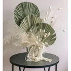 preserved fan palm leaves dried palm leaves decorative Livistona dried palm leaves