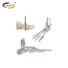 High Quality Indian Manufacturer Orthopedic Implant Bone Screw Titanium Herbert Screw