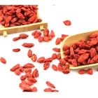 Fruit Goji Fruit Chinese Traditional Herbal Medicine Fruit Fresh Goji Berries