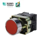 TENGEN LAY5-BV64 red classic type 220V 24V 6.3V Push Button Switch for electrical appliances