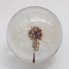 Wholesale Dandelion Paperweight - Made from a Real Dandelion
