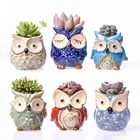 Pots Ceramic Ceramicceramic Home Tabletop Decorative Handmade Cute Owl Succulent Pots Ceramic Animal Planters