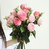 /product-detail/71cm-new-mixed-blooms-and-buds-real-touch-moisturizing-rose-2-branches-high-simulated-round-rose-for-wedding-home-decor-62349936690.html