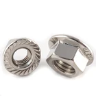 Professional Manufacture Stainless Steel 304 316 Hex Serrated Flange Nut with DIN6923 Standard