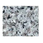 Gris Peria(Small Flower) hotel snowfall granite vanity countertops