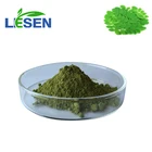 Natural Moringa Leaf Powder Moringa Oleifera Leaf extract