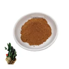 Herbal Damiana Leaves Leaf Extract 50:1