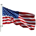 Polyester Printing Wholesale Cheap High Quality United States USA Flag 3x5ft