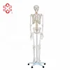 2016 New Style Plastic Human Skeleton for Sale
