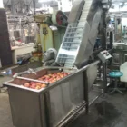 Pear Apple Professional Manufacture Fruit Chinese Pear Apple Juice Making Machine Line