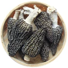 Nature Wild Dried Black Morel Mushroom