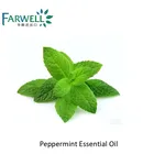 Farwell Peppermint Essential Oil CAS 8006-90-4