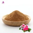 Geranium Extract Powder /Pelargonium Sidoides Extract