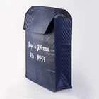 New design portable cake pizza carry cooler bag with good price