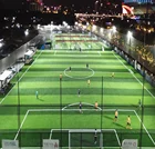 2020 synthetic turf futsal artificial grass carpets for football stadium