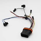 Graphic Customization High Wire Harness Factory High Quality 16Pin Auto Lamp Retrofit Wire Harness for Ford