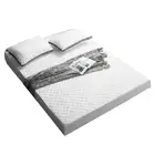Bed Sheet Ultrasonic Quilted Protective Cover Non-Slip thick mattress pad hotel bed mattress