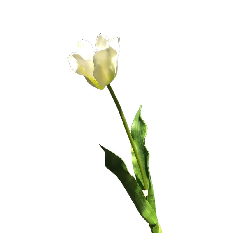 الزفاف ديكور الجمال ريال اللمس الزهور الأبيض إيفا الاصطناعي الزنبق زهرة