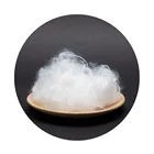 On sale white 8D regenerated polyester staple fiber for Egypt market