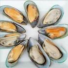 Whole Factory Direct Sale Frozen Half-shell Mussels