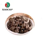 Brown Powder Top Quality Natural Moringa Extract Seeds Extracted ISO Factory