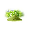 100% NOP EU certificate Organic Matcha Green Tea Powder