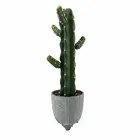 Packaging Customization Plant Artificial New Design New Creative Green Leaf Decoration Cactus Plant Artificial