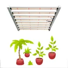 Guangzhou Samsung 2020 Guangzhou Chengze Diy Led Grow Light Samsung Lm301h Board