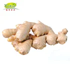 China Organic Dried Young Ginger Price